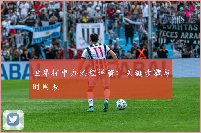 世界杯申办流程详解：关键步骤与时间表