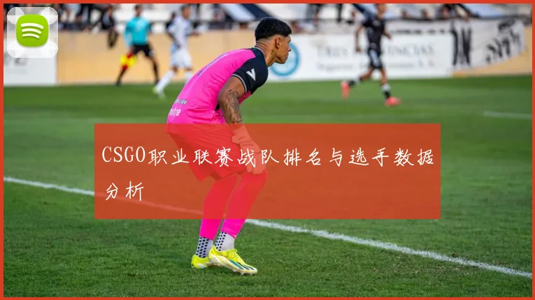 CSGO职业联赛战队排名与选手数据分析