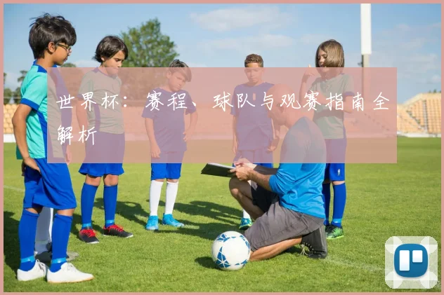 世界杯：赛程、球队与观赛指南全解析