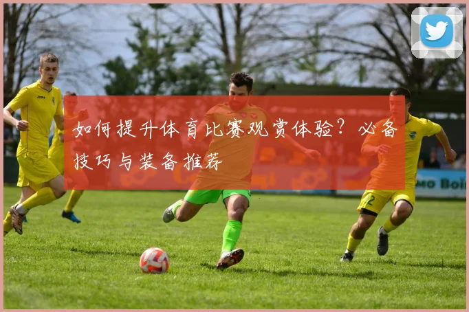 如何提升体育比赛观赏体验？必备技巧与装备推荐